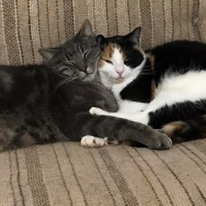 Meet your Posher, Trude